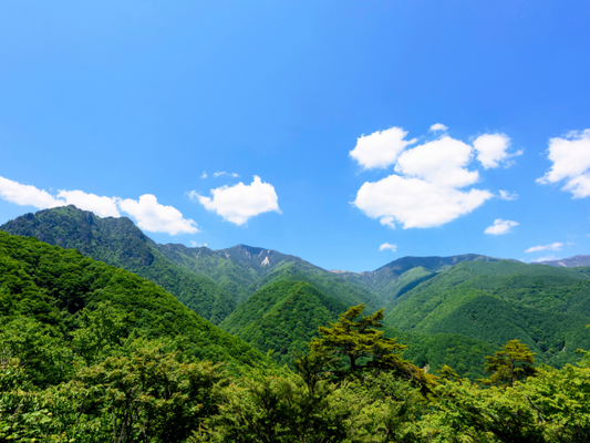 【暑中の始まり】七夕からは二十四節気「小暑」7月7日頃から7月22日頃