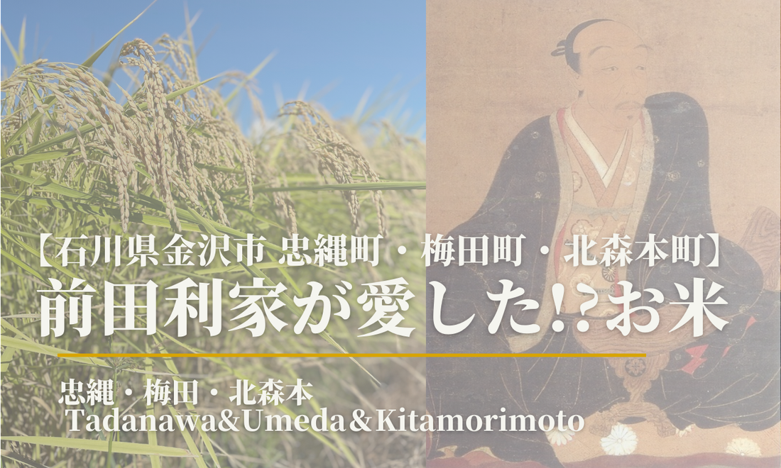【石川県金沢の美味しいお米】 旅行・観光に行かずとも味わえる加賀百万石の歴史と文化