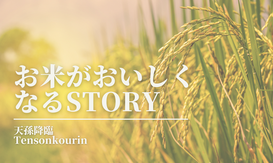 お米が美味しくなる話【天孫降臨】