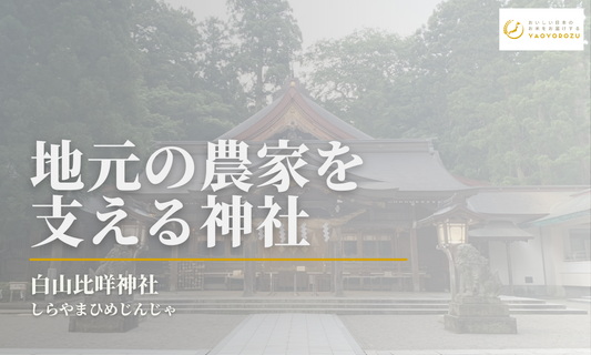 白山比咩神社(しらやまひめじんじゃ)