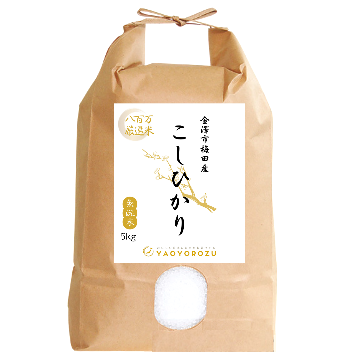 【令和6年産】金澤市梅田産コシヒカリ(無洗米・玄米)