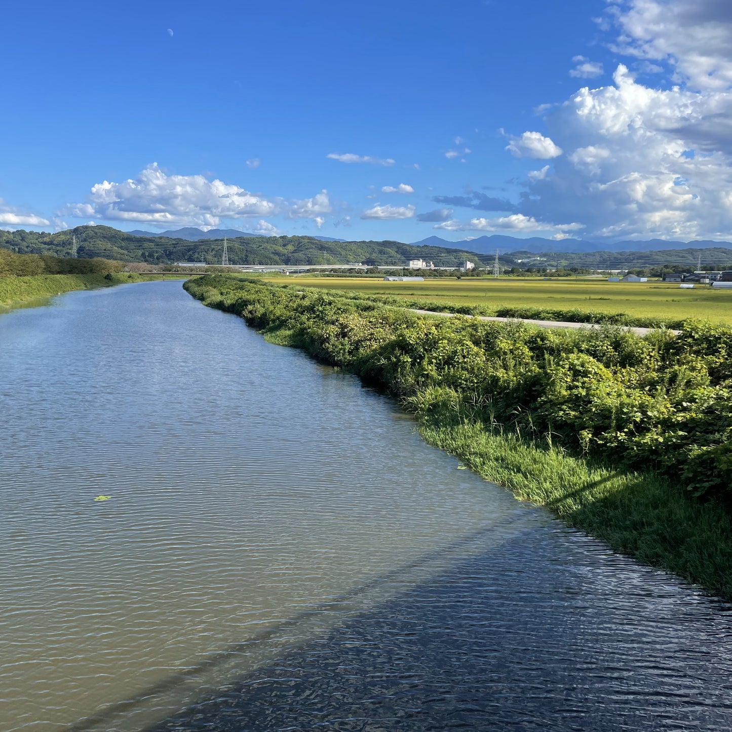 【令和7年産】加賀藩主・前田家の御膳米 お試しセット(3種×2合 食べ比べ)|ゆうパケット(ポスト投函)にてお届け