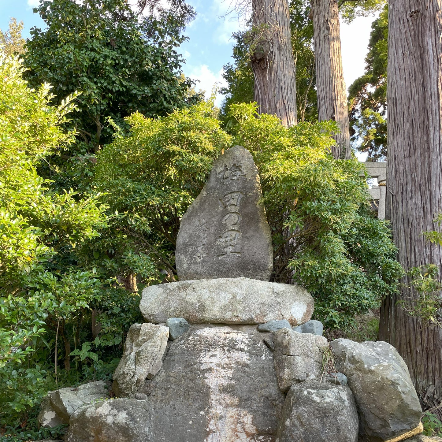 【令和6年産】金澤市梅田産コシヒカリ(無洗米・玄米)