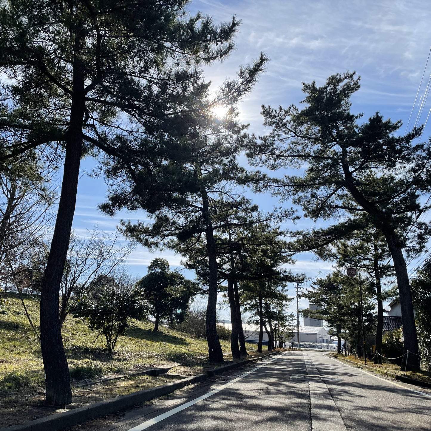 【令和7年産】加賀藩主・前田家の御膳米 お試しセット(3種×2合 食べ比べ)|ゆうパケット(ポスト投函)にてお届け