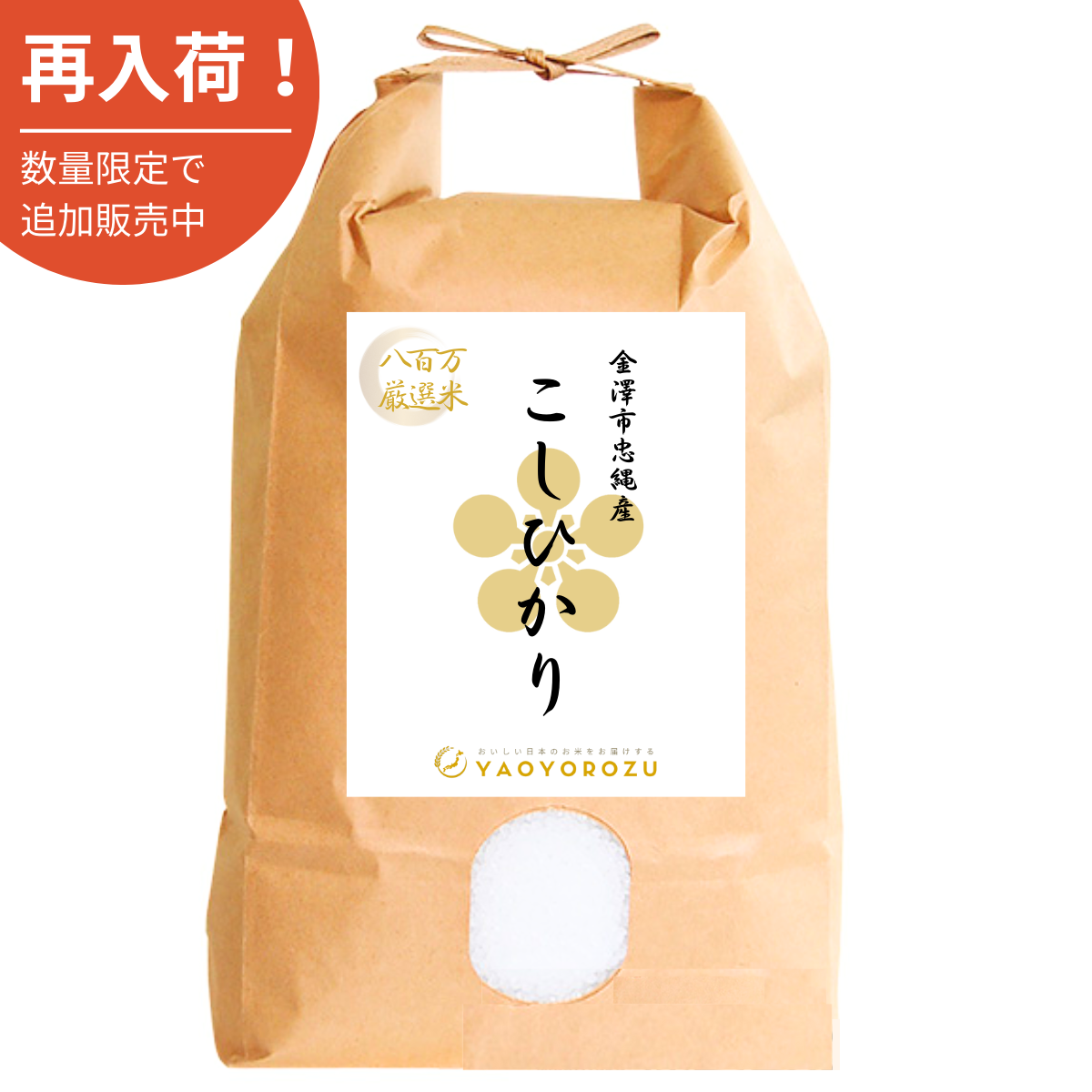 令和6年産】金澤市忠縄産コシヒカリ（無洗米・玄米