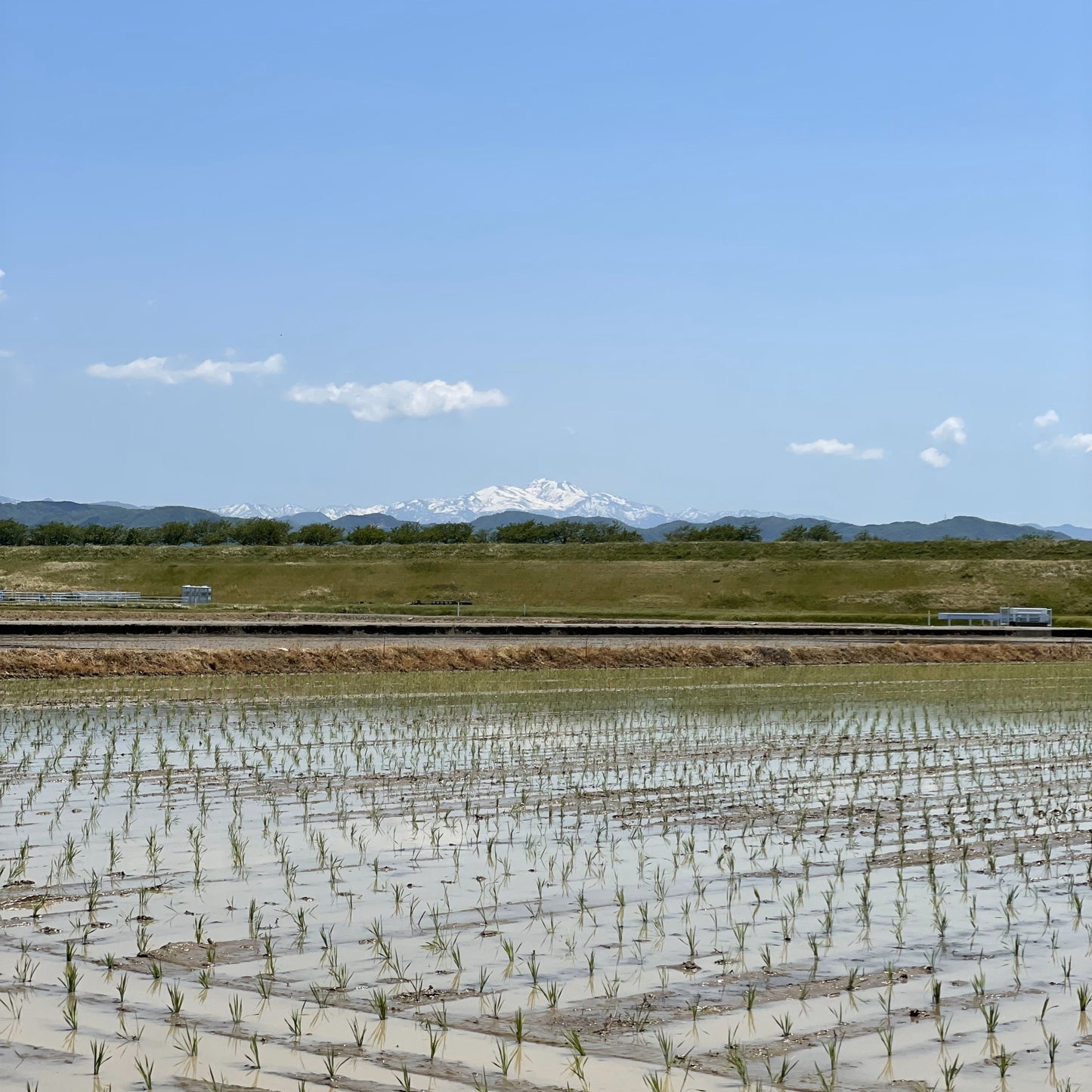 【令和6年産】石川県川北産ひゃくまん穀(無洗米)