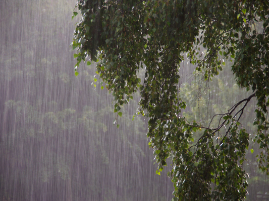 夏の終わりの七十二候【大雨時行】8月2日から8月6日ごろ