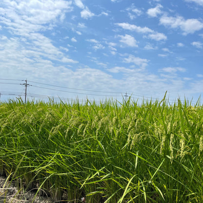 【令和6年産新米】石川県川北産ひゃくまん穀（無洗米）