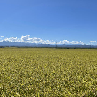 【令和6年産新米】石川県川北産ひゃくまん穀（無洗米）