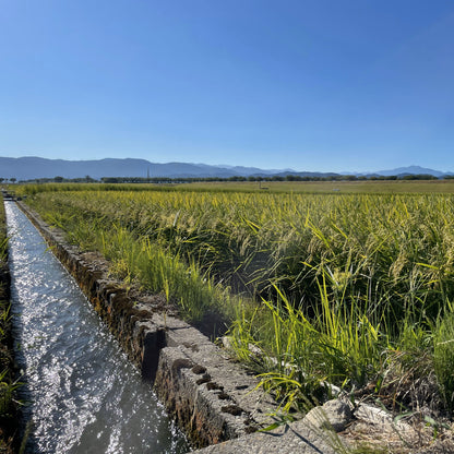 【令和6年産新米】石川県川北産ひゃくまん穀（無洗米）