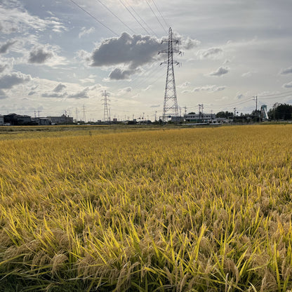 【令和6年産新米】金澤市北森本産ひゃくまん穀（無洗米）