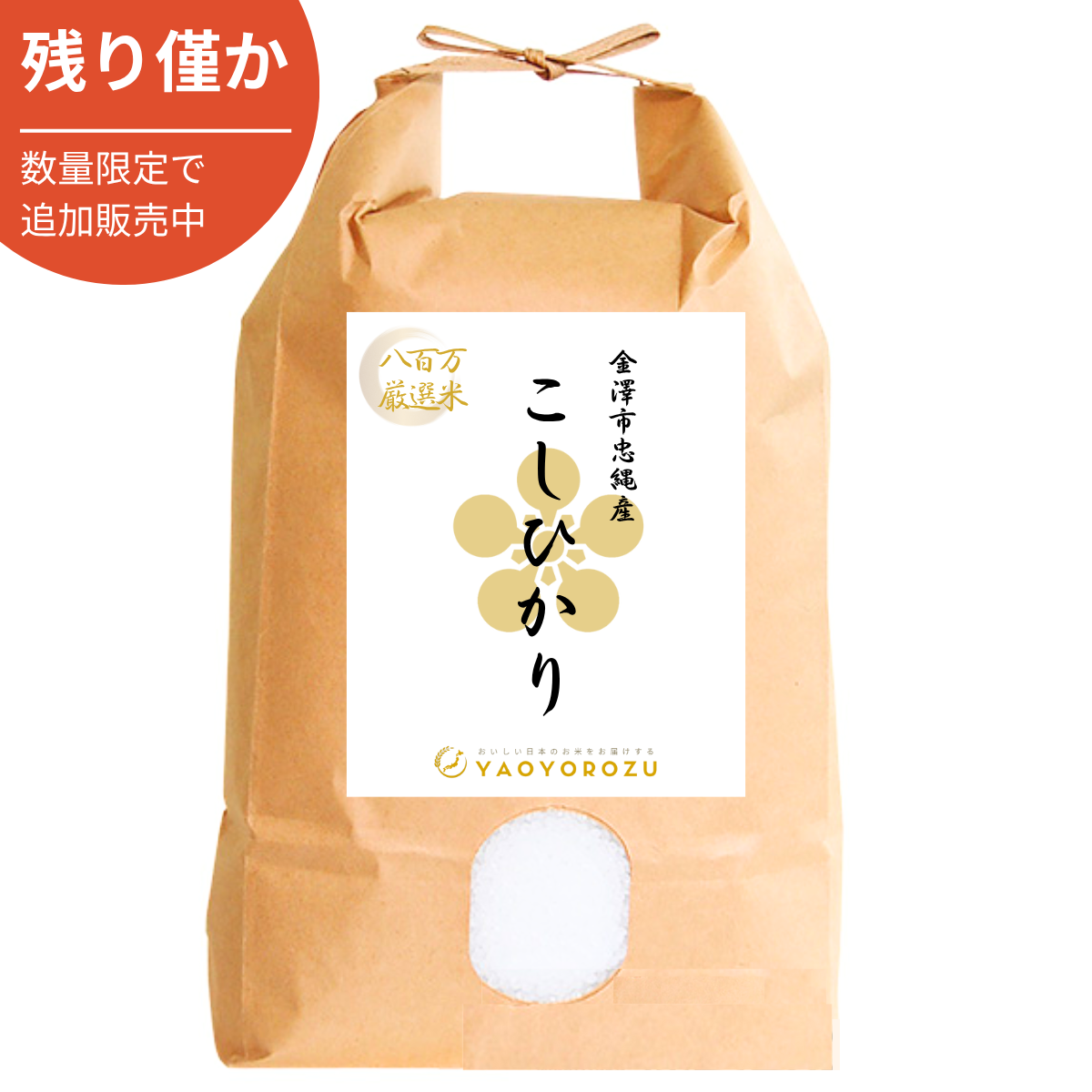 【令和6年産】金澤市忠縄産コシヒカリ（無洗米・玄米）