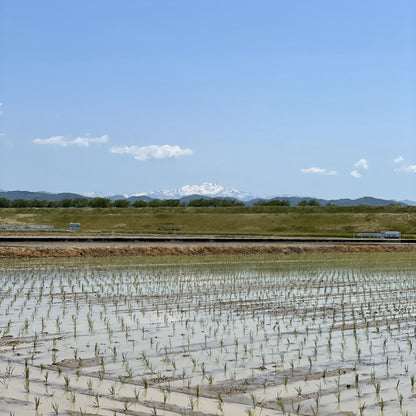 【令和6年産新米】石川県川北産ひゃくまん穀（無洗米）